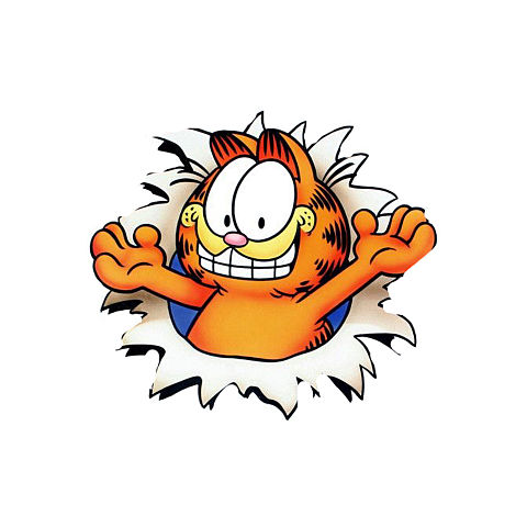 Garfield[84358568]｜完全無料画像検索のプリ画像 byGMO