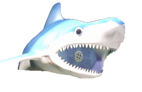 サメの画像(プリ画像)