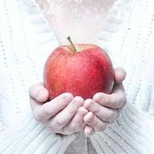 りんご 禁断の果実の画像6点 完全無料画像検索のプリ画像 Bygmo