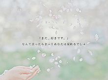 no titleの画像(桜の季節に関連した画像)