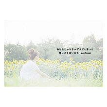 ✱夏の花は向日葵だけじゃない✱の画像(ありがとう/さようならに関連した画像)