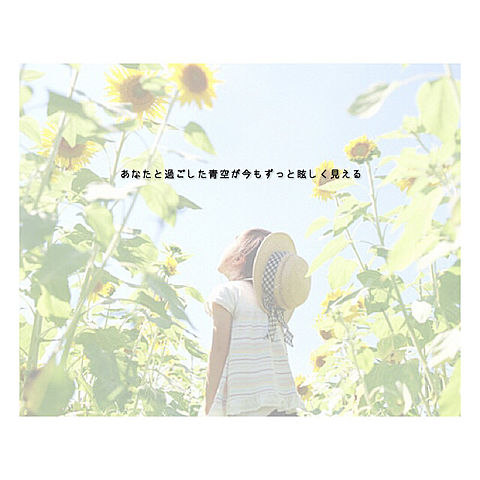 ✱夏の花は向日葵だけじゃない✱の画像(プリ画像)