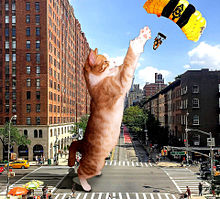 進撃の巨猫🐈️猫の日の画像(猫の日に関連した画像)