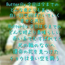 Butterflyの画像(木村カエラ butterfly 歌詞に関連した画像)