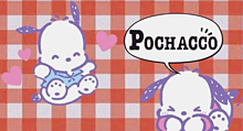ポチャッコ POCHACCO キーボード背景画像 サンリオの画像(背景画   かわいいに関連した画像)