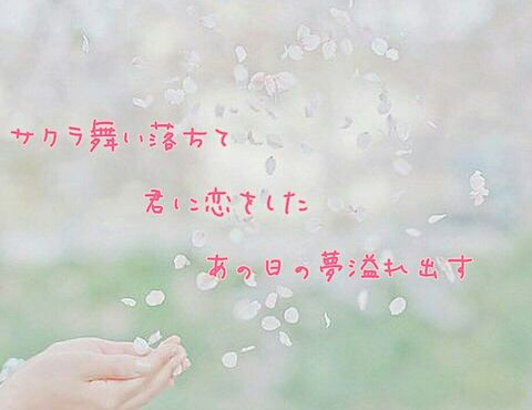桜のyellの画像 プリ画像