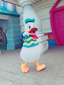 Donald Duck !! プリ画像