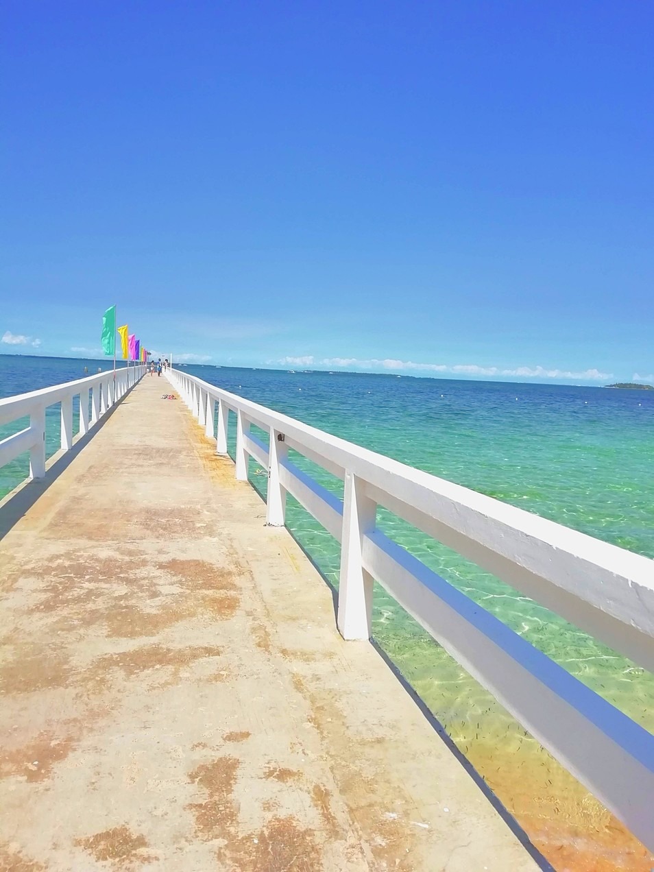 虹色の海 奇跡の一枚 完全無料画像検索のプリ画像 Bygmo
