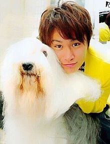安田章大とモフモフ犬の画像(モフモフに関連した画像)