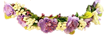 花冠の画像(花 透過 冠に関連した画像)
