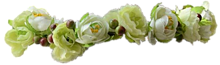 花冠の画像(背景 花冠に関連した画像)