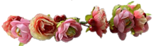 花冠の画像(背景 花冠に関連した画像)