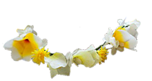 花冠の画像(花 透過 冠に関連した画像)
