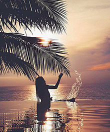 sunsetの画像(ハワイ やしの木に関連した画像)