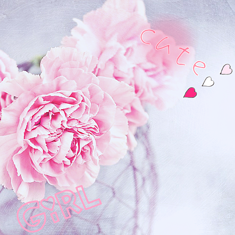 ピンクのお花の画像11点 完全無料画像検索のプリ画像 Bygmo