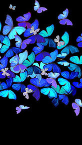 幻想的 綺麗 蝶の画像100点 完全無料画像検索のプリ画像 Bygmo