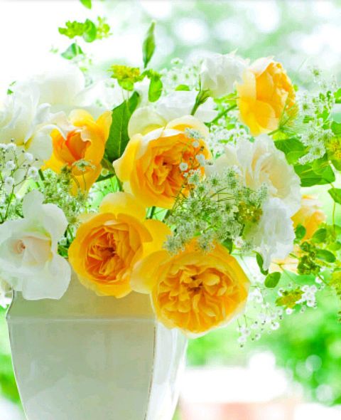 ブーケ 花束 のスマホ壁紙 Id 584316908 Rose Bouquet 壁紙 Com
