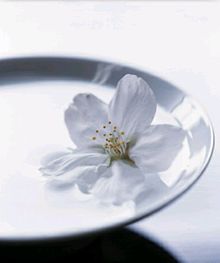 桜・チェリーブロッサムの画像(リーブロに関連した画像)