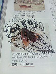 教科書の落書きの画像(#nana民に関連した画像)