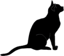 透明 黒猫の画像25点 完全無料画像検索のプリ画像 Bygmo