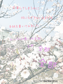 桜の画像(trysailに関連した画像)