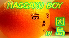 HASSAKU BOYの画像(因島に関連した画像)