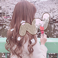 女の子 後ろ姿 春 桜の画像36点 完全無料画像検索のプリ画像 Bygmo