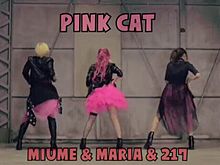 pinkcat プリ画像