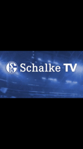Schalke04の画像(Schalke04に関連した画像)