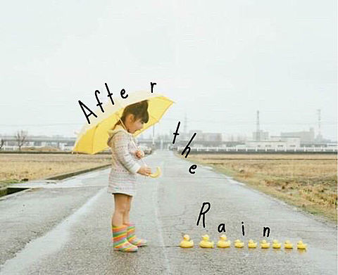 After the Rain の画像(プリ画像)