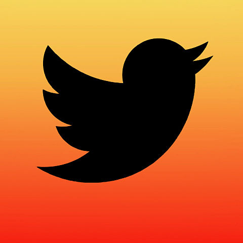 Twitterのアイコンとフォートナイトスキン 完全無料画像検索のプリ画像 Bygmo