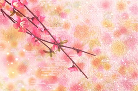 梅の枝 和柄背景 キラキラ 加工画像の画像(プリ画像)