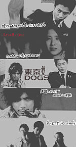 東京DOGSの画像(dogs 歌詞に関連した画像)