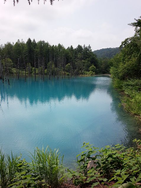 青い池の画像(プリ画像)