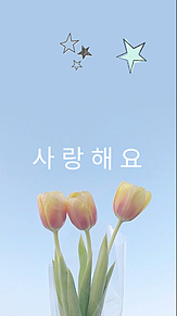 사랑해요 花 チューリップ 韓国の画像(사랑해に関連した画像)
