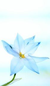 水色 素材 花の画像310点 完全無料画像検索のプリ画像 Bygmo