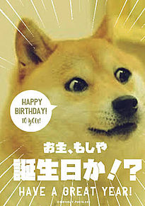 happy birthdayの画像(動物/アニマル/animalに関連した画像)