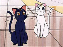 ルナ&アルテミス(美少女戦士セーラームーン)の画像(セーラームーン キャラクター 猫に関連した画像)