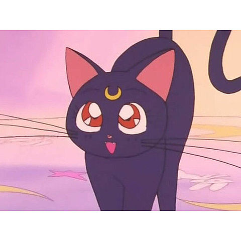 美少女戦士セーラームーン ルナ(黒猫)セル画+動画 ①-