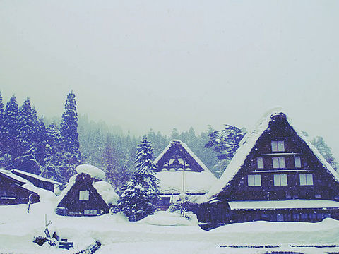 雪 風景の画像508点 完全無料画像検索のプリ画像 Bygmo