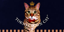 TOKYO CROWN CATの画像(動物・猫に関連した画像)