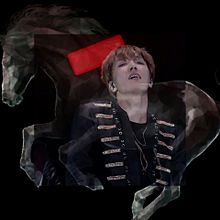 black horse 🐴  white tiger 🐯の画像(ホソク/ホビ/ホプ/jhopeに関連した画像)