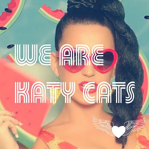 we are Katy catsの画像(プリ画像)
