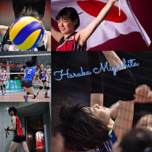 volleyballの画像(古賀紗理奈に関連した画像)