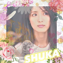 萩花の画像(Shukarenに関連した画像)