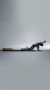 壁紙 タバコの画像61点 完全無料画像検索のプリ画像 Bygmo