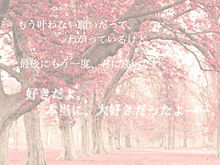 桜の画像(片想い/好き/恋に関連した画像)