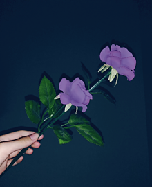 かっこいい 紫 花 イラスト Homu Interia