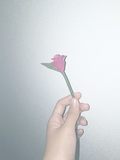 薔薇子♡♡の画像(プリ画像)