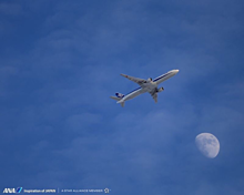 飛行機 ANAの画像(飛行機 ANAに関連した画像)
